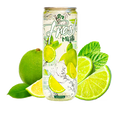 AR Fresh Mojito 330ml